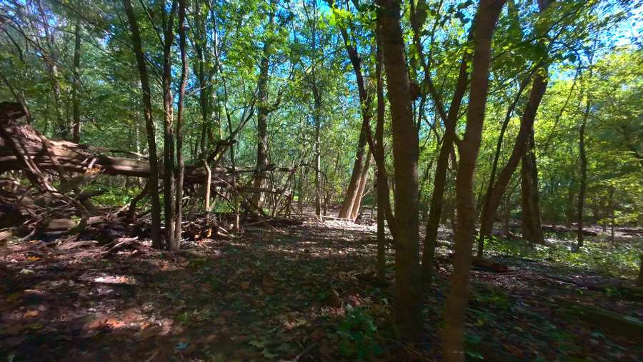 Still 2025-11-17 100017_1.55.11.jpeg